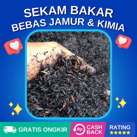 Media Tanam Sekam Bakar Gr Bebas Jamur Dan Kimia Siap Pakai Aman