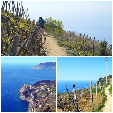 Le Migliori Escursioni Trekking Per Scoprire Le Cinque Terre A Piedi