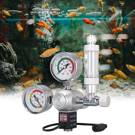 Kit de système de générateur de CO2 d aquarium à faire soi même