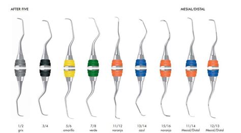CURETAS GRACEY AFTER FIVE RIGIDAS EVEREDGE HU FRIEDY DJL Dental