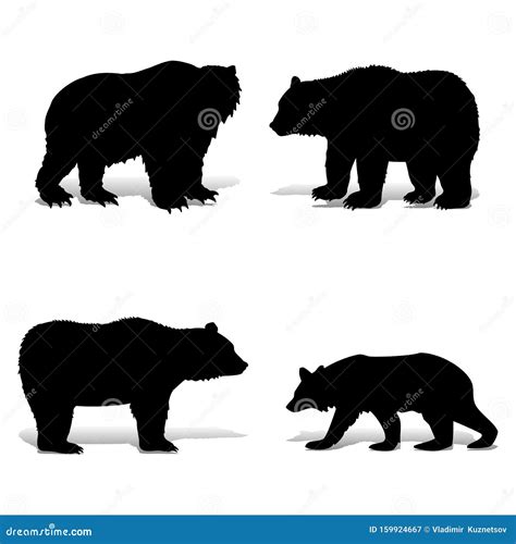 Collection Of Black Bears Silhouette On A White Background Stock