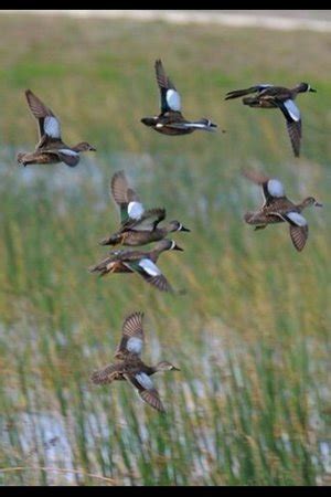 Osceola Outdoors (Okeechobee) - 2020 All You Need to Know BEFORE You Go