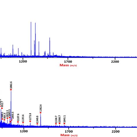 Maldi Tof Mass Spectra Of Phosphopeptides From Human Saliva A Before