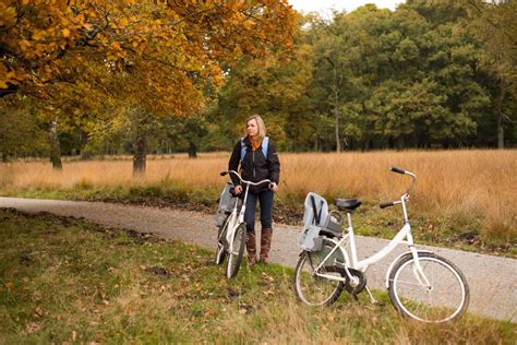 Visit Hoge Veluwe National Park In Otterlo Live The World