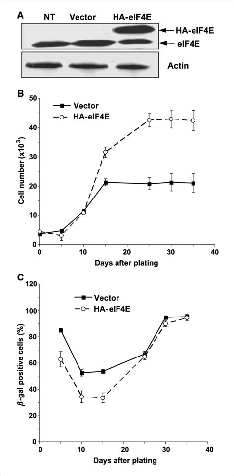 Eif E Rescues Primary Hmecs From M Growth Arrest A Immunoblot