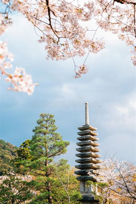 Kiyomizu-dera Temple With Cherry Blossoms In Kyoto, Japan Stock Image ...