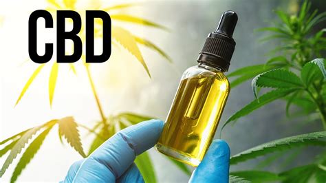 Everything You Need To Know About Cbd Youtube