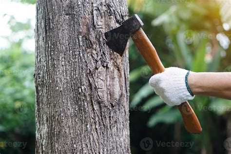 Closeup Hand Holds Wooden Handle Axe To Cut Tree Concept Manual