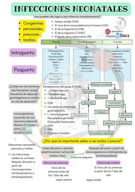 Infecciones Neonatales Emedics Udocz