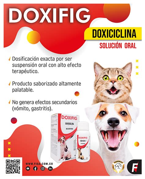 Doxifig Dosis Exacta Sin Contraindicaciones Figa S A