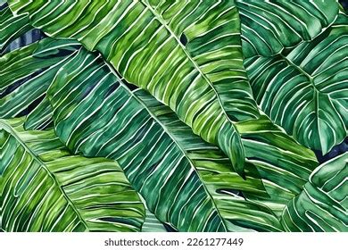 Tropical Leaf Wallpaper Luxury Nature Leaves Stock Vector (Royalty Free ...