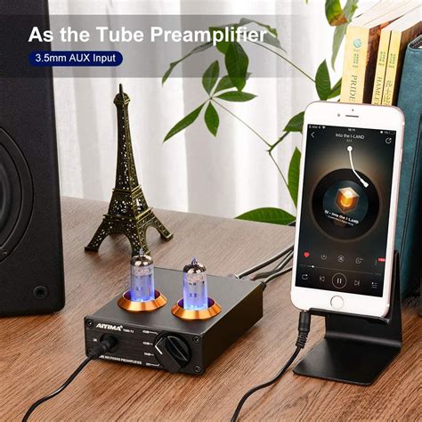 Buy AIYIMA Tube T3 HiFi Tube MM Phono Preamp For Turntable MM