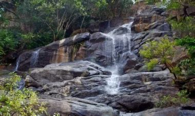 Yercaud Hill Station - History | Best Time to Visit | How to Reach