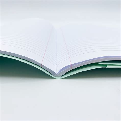 Oxford EasyBook A4 Schrift Met Plastic Omslag Gelinieerd Pastel Groen