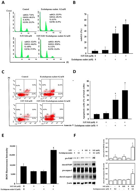 Ijms Free Full Text Synergistic Effects Of The Combinational Use Of