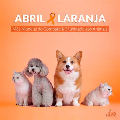 ABRIL LARANJA COMBATE AOS MAUS TRATOS ANIMAIS Fisioforma