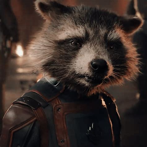 Rocket Raccoon Rocket Raccoon Guardião Galaxia