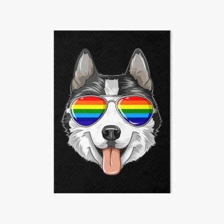 Husky Gay Pride Flag Lgbt Rainbow Sunglasses Husky Art Board Print For Sale By Declanmoss