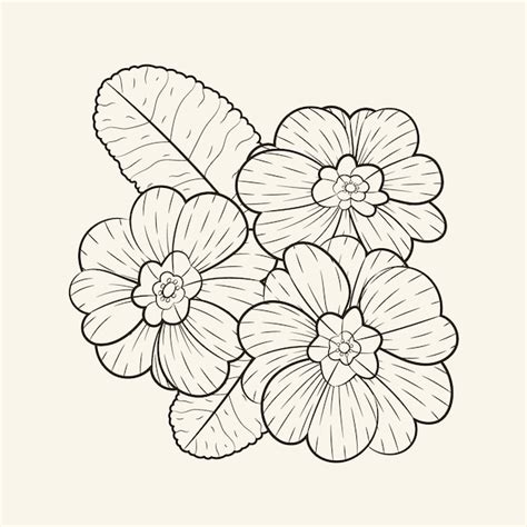 Cempasuchil Flower Drawing | Best Flower Site