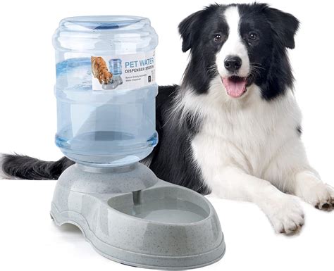 Dispensador de agua para perros y gatos grandes alimentador automático