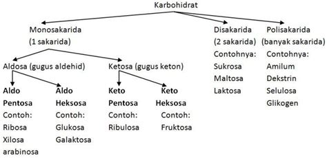 Rangkuman Materi Contoh Soal Makromolekul Sifat Karbohidrat Protein