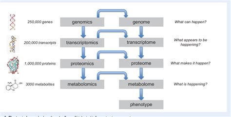 Figure 1 from Metabolomics as a tool to identify biomarkers to predict ...