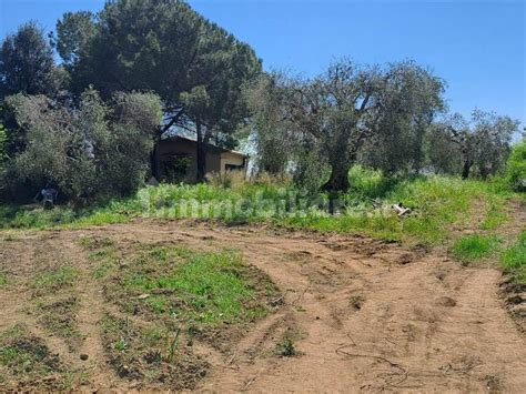 Vendita Rustico Magliano In Toscana Buono Stato M Rif