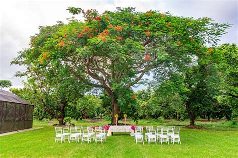 Mon Petit Garden - Miami, FL - Wedding Venue