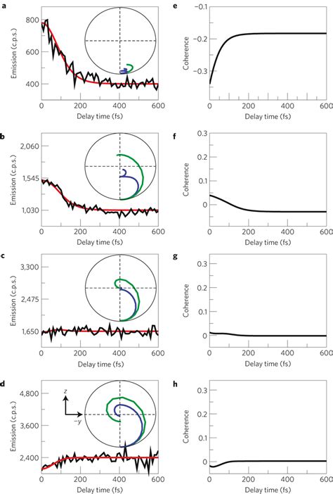 Quantum Coherence In Single Molecules Coherence Decay And Rabi