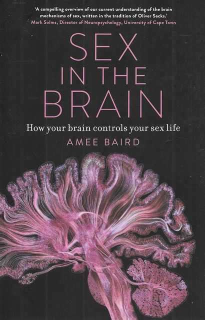 Sex In The Brain How Your Brain Controls Your Sex Life