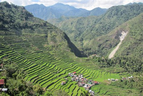 LEXICAL CROWN: BATAD RICE TERRACES