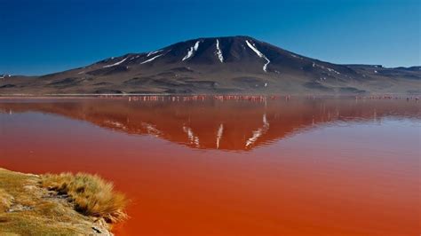 Lago Natrón Tanzania Aguas Rojas Que Convierten Animales En Piedra