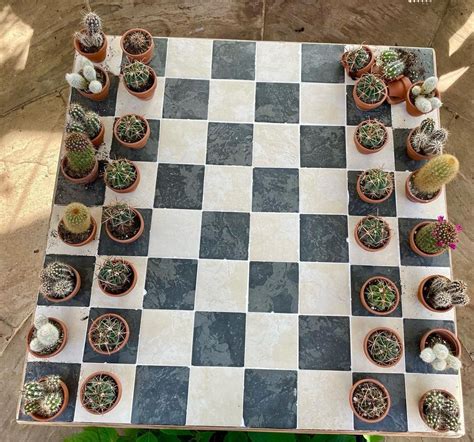 Anthony Scott Cactus Chess All The Rage At Goldsborough