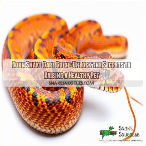 Corn Snake Care Guide: Unlock the Secrets to Raising a Healthy Pet