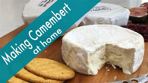 How To Make A Camembert Style Cheese At Home Youtube