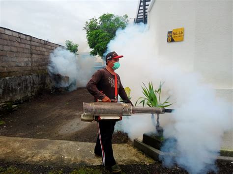 Cegah Penyebaran Virus DBD Kelurahan Penatih Laksanakan Fogging Bali