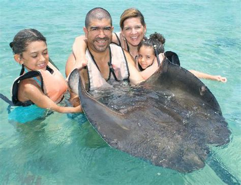 Stingray Beach Cozumel All You Need To Know Before You Go With