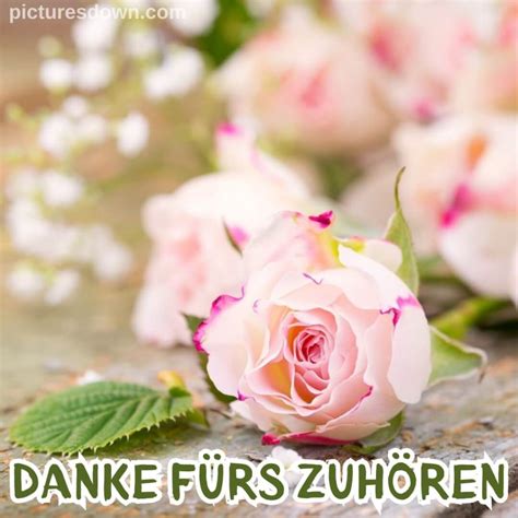 Danke für eure aufmerksamkeit bild Hund und Blumen