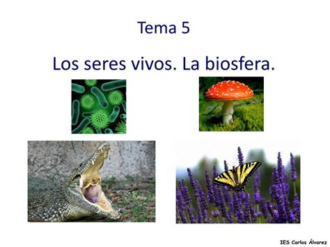 Pdf Los Seres Vivos La Biosfera Iescarlosalvarez La