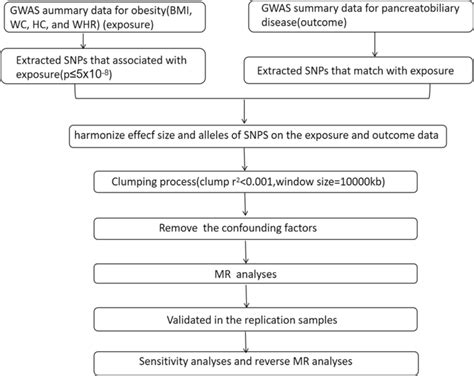 The Flowchart Of The Study Bmi Body Mass Index Wc Waist Download