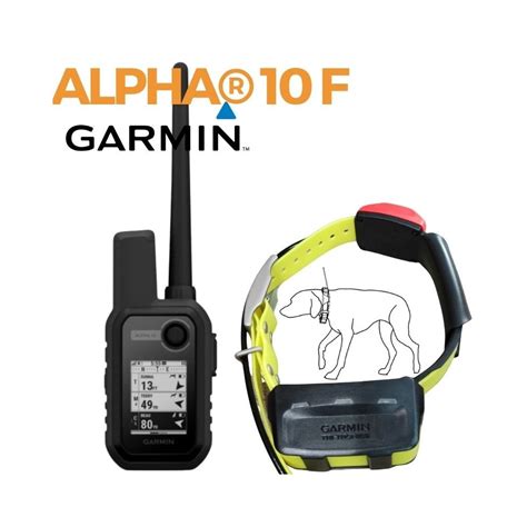 Pack Garmin Alpha F Collier T Fonction Rep Rage