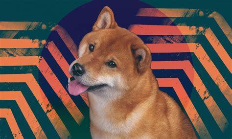 Shiba Inu Coin: Everything You Need To Know | Tech Magazine