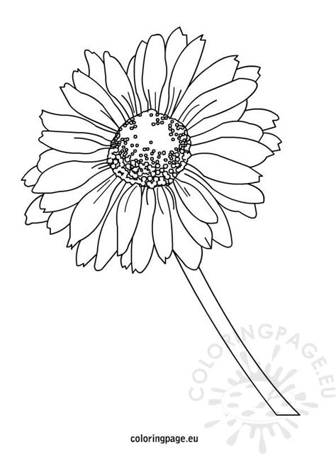 Gerbera Para Colorear Beautiful Monochrome Black And White Gerbera