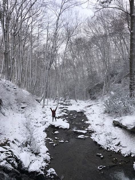 Winter In Boone Nc Nc Tripping