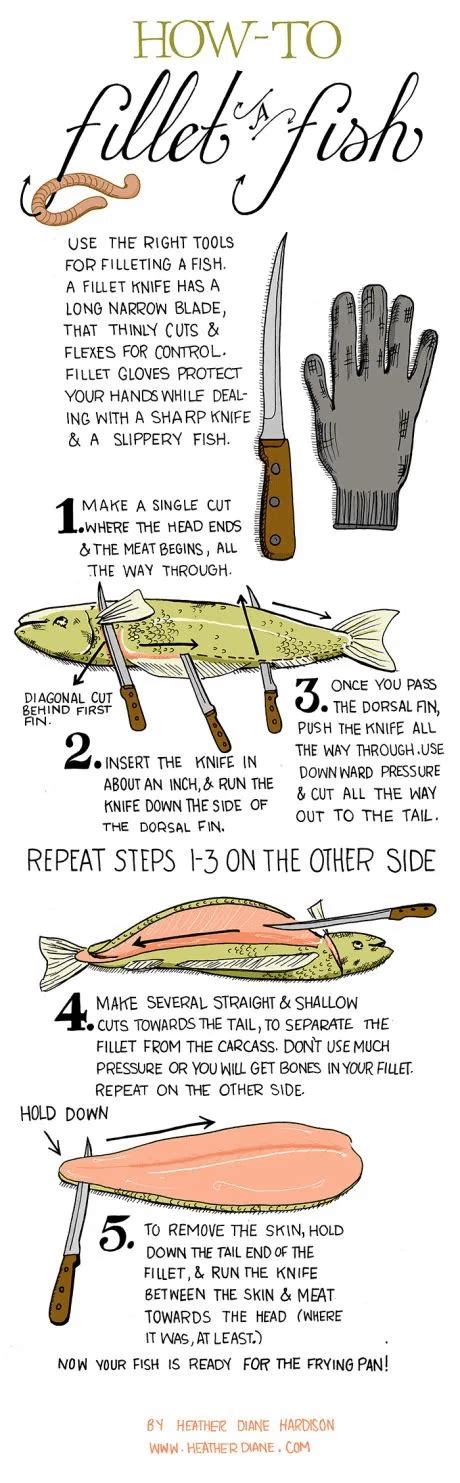 A cool guide to filleting : r/coolguides