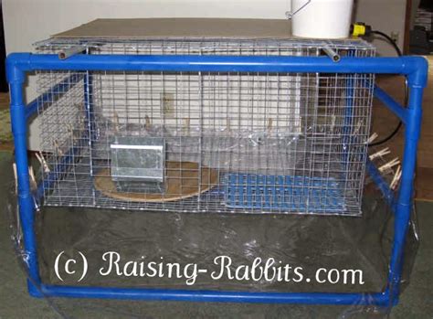 Indoor Rabbit Cage How To Set Up Your Indoor Rabbit Hutch And Cage