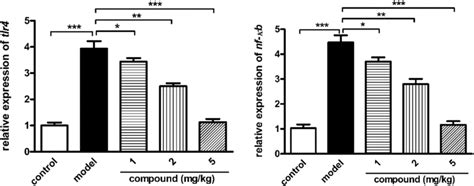 Inhibited signaling pathway of TLR 4 NF κB activation in the implant