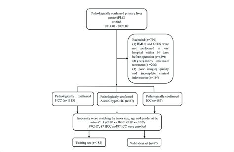 Flowchart Of The Patient Selection Process Chc Combined