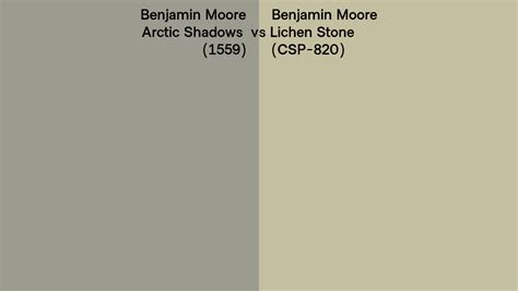 Benjamin Moore Arctic Shadows Vs Lichen Stone Side By Side Comparison