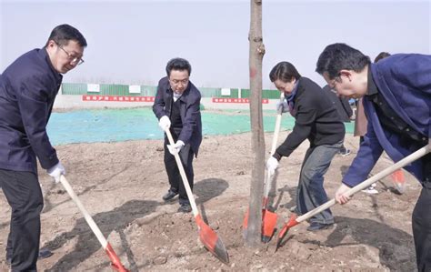 “植”此青绿！区四套班子领导参加义务植树活动澎湃号·政务澎湃新闻 The Paper